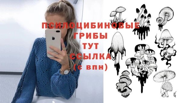 героин Арсеньев